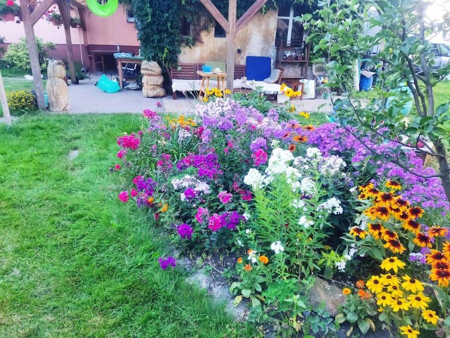 Apartment In Blossom Garden Nove Mesto pod Smrkem Ngoại thất bức ảnh